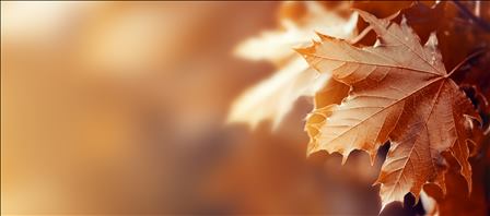Probióticos y Prebióticos otoño