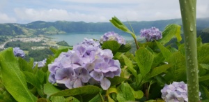 viajar azores