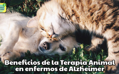 Terapia Animal en enfermos de Alzheimer