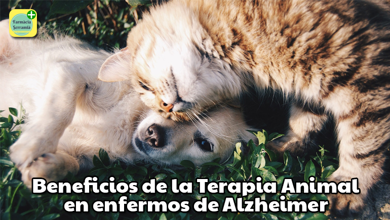 Terapia Animal en enfermos de Alzheimer