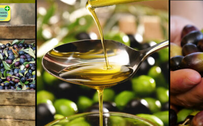 ACEITE DE OLIVA, ¿ES, O NO ES, UN SUPERALIMENTO?