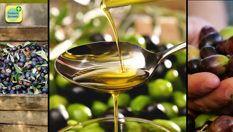 ACEITE DE OLIVA, ¿ES, O NO ES, UN SUPERALIMENTO?