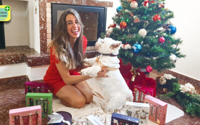 Regalos para Navidad