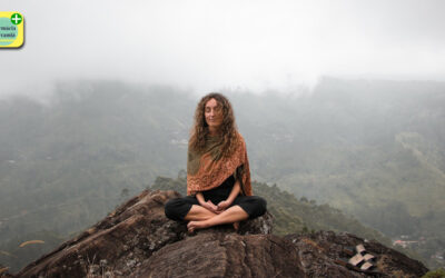 Beneficios del Mindfulness