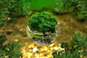 ARBOL SIN CONTAMINACIÓN