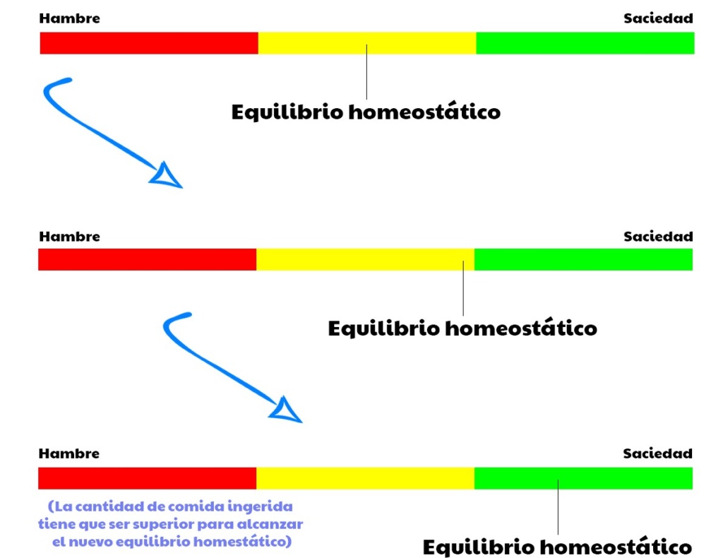equilibrio adelgazar