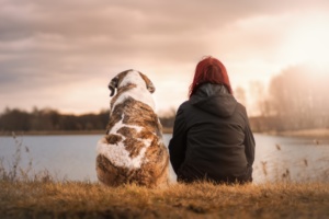 amigo terapia animal alzheimer