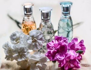 Plantas y perfume