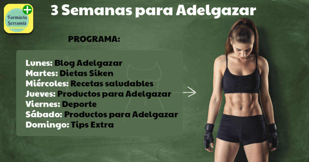 programa adelgazar
